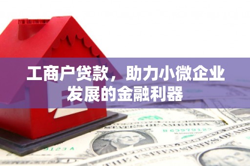 雨花工商户贷款,助力小微企业发展的金融利器 雨花工商户贷款,助力小微企业发展的金融利器