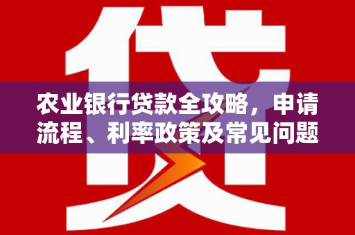 大埤农业银行贷款全攻略，申请流程、利率政策及常见问题解析