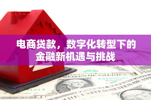 潜江电商贷款，数字化转型下的金融新机遇与挑战