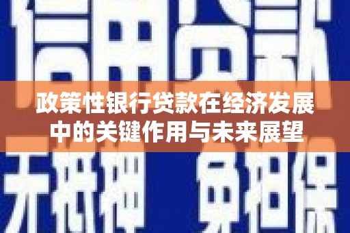 曾都政策性银行贷款在经济发展中的关键作用与未来展望