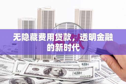 山东无隐藏费用贷款，透明金融的新时代
