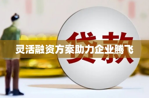 颍泉灵活融资方案助力企业腾飞
