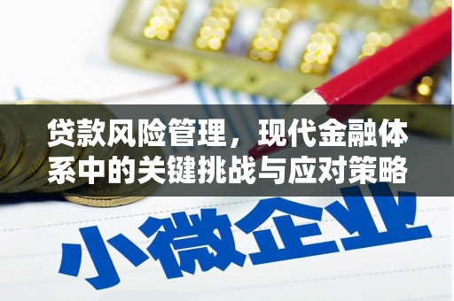巩留贷款风险管理，现代金融体系中的关键挑战与应对策略