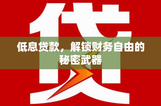 圣方济各堂区低息贷款，解锁财务自由的秘密武器