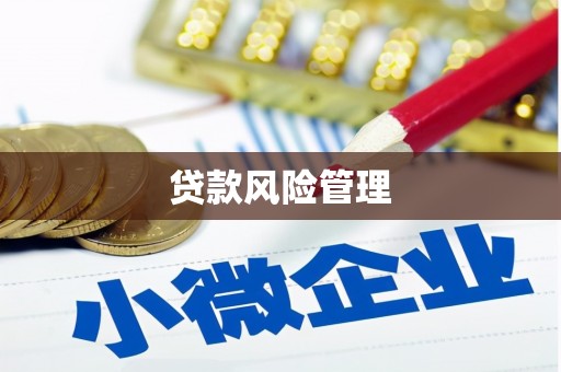 莿桐贷款风险管理