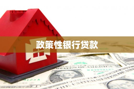 惠民政策性银行贷款