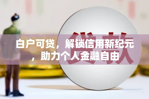 瑞穗白户可贷，解锁信用新纪元，助力个人金融自由