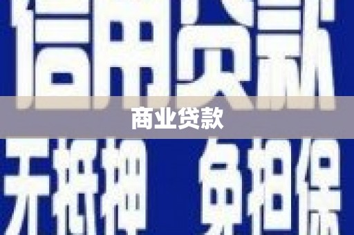 玄武商业贷款