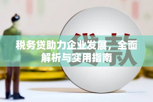 天津税务贷助力企业发展，全面解析与实用指南