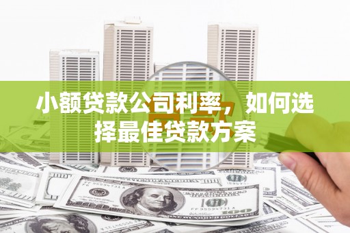 兴隆台小额贷款公司利率，如何选择最佳贷款方案