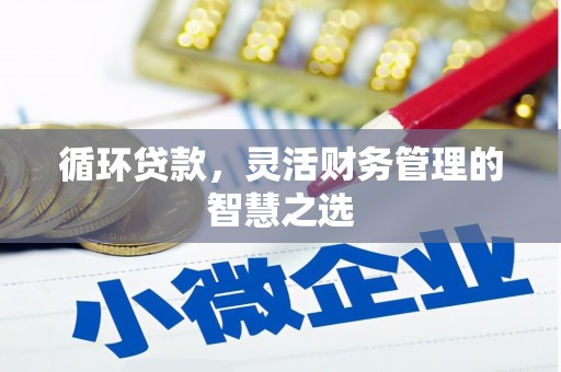 梧栖循环贷款，灵活财务管理的智慧之选