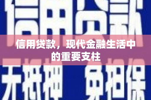 西市信用贷款，现代金融生活中的重要支柱