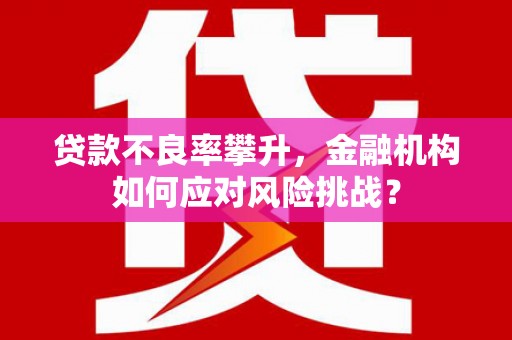 黄平贷款不良率攀升，金融机构如何应对风险挑战？