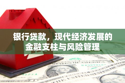 罗定银行贷款，现代经济发展的金融支柱与风险管理