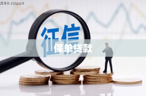 乌伊岭保单贷款