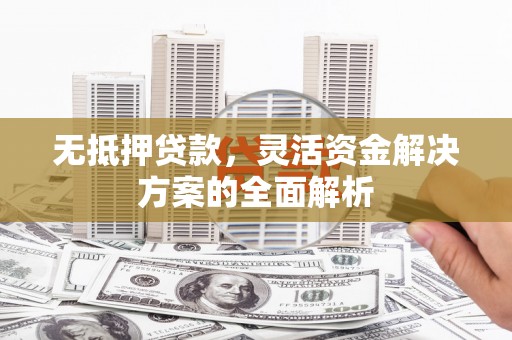 新林无抵押贷款，灵活资金解决方案的全面解析