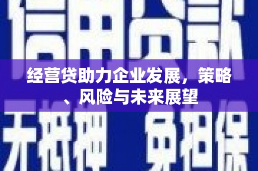 保亭经营贷助力企业发展，策略、风险与未来展望