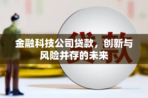 信阳金融科技公司贷款，创新与风险并存的未来
