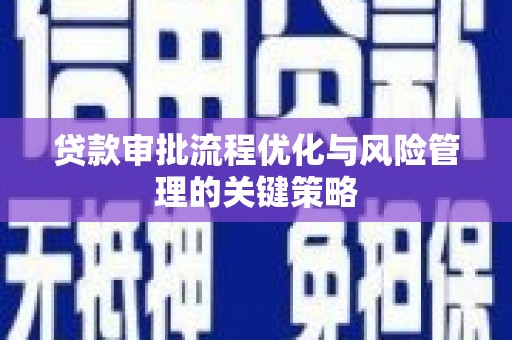 盘龙贷款审批流程优化与风险管理的关键策略