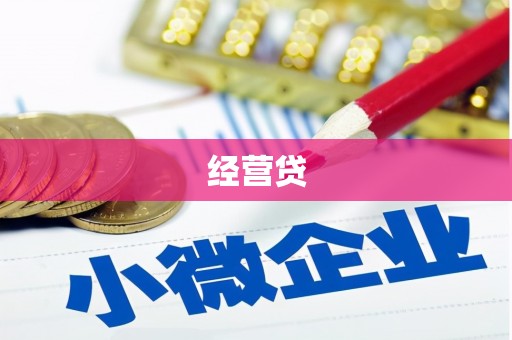 隆子经营贷