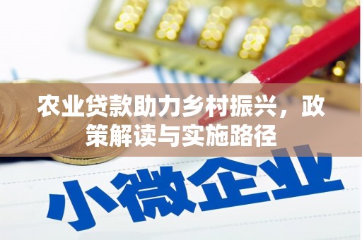 纳雍农业贷款助力乡村振兴，政策解读与实施路径