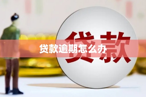 广河贷款逾期怎么办