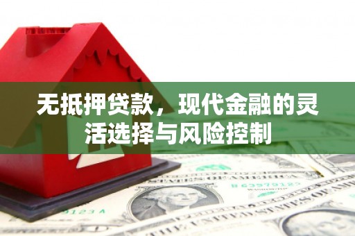 乌恰无抵押贷款，现代金融的灵活选择与风险控制