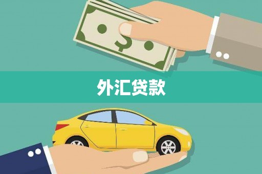 沛县外汇贷款