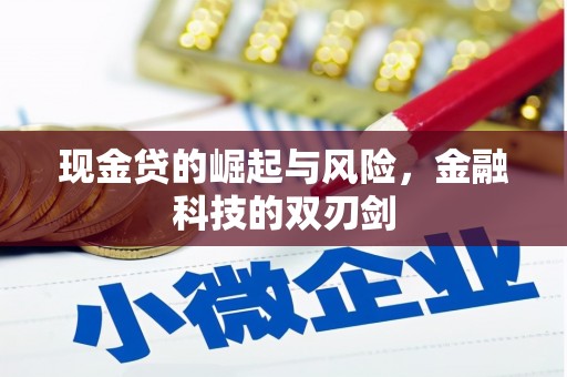 涿州现金贷的崛起与风险，金融科技的双刃剑