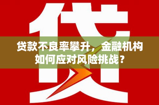 温宿贷款不良率攀升，金融机构如何应对风险挑战？