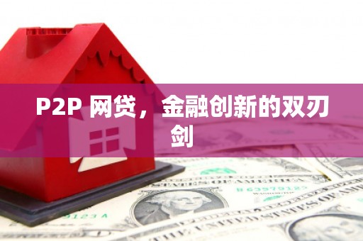 光山P2P 网贷，金融创新的双刃剑