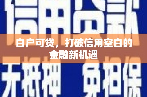 师宗白户可贷，打破信用空白的金融新机遇