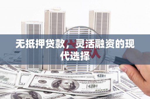 麦寮无抵押贷款，灵活融资的现代选择