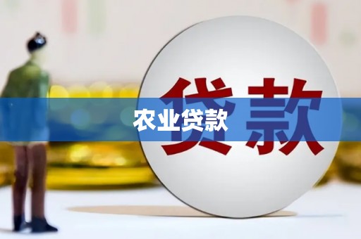 路北农业贷款