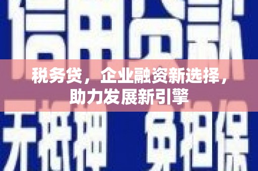 高陵税务贷，企业融资新选择，助力发展新引擎