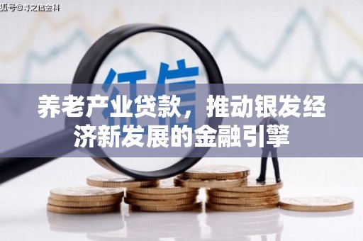 鹤庆养老产业贷款，推动银发经济新发展的金融引擎
