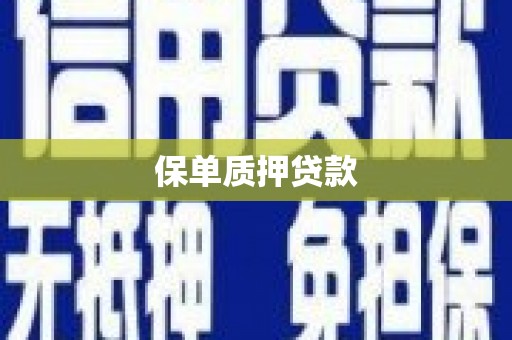 荥经保单质押贷款