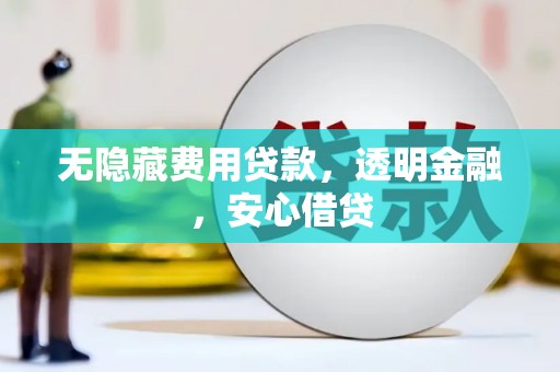 武安无隐藏费用贷款，透明金融，安心借贷