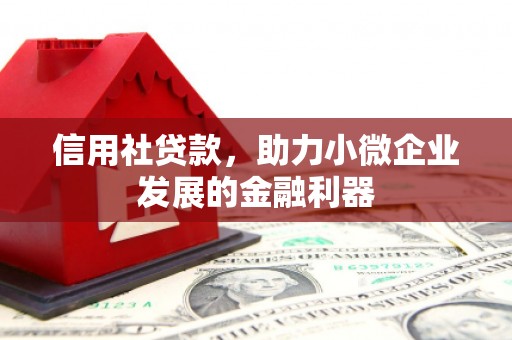 茂林信用社贷款，助力小微企业发展的金融利器