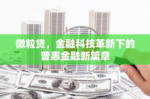 苑里微粒贷，金融科技革新下的普惠金融新篇章