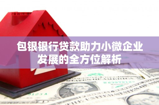 泰顺包银银行贷款助力小微企业发展的全方位解析