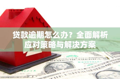 竹崎贷款逾期怎么办？全面解析应对策略与解决方案