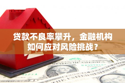 奉化贷款不良率攀升，金融机构如何应对风险挑战？