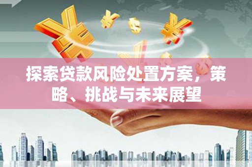 普湾新区探索贷款风险处置方案，策略、挑战与未来展望