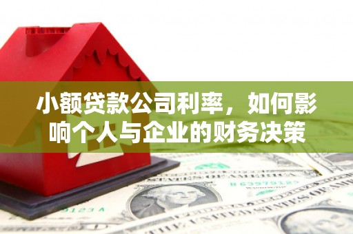 沾益小额贷款公司利率，如何影响个人与企业的财务决策