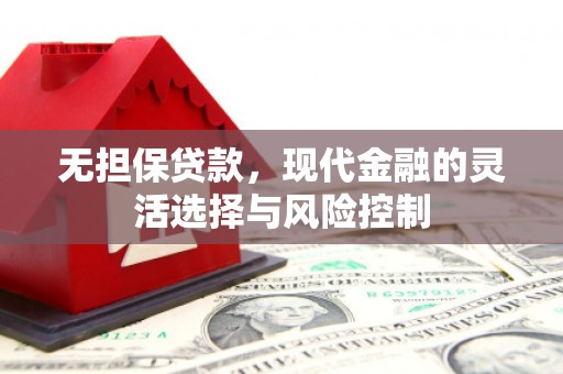 原阳无担保贷款，现代金融的灵活选择与风险控制
