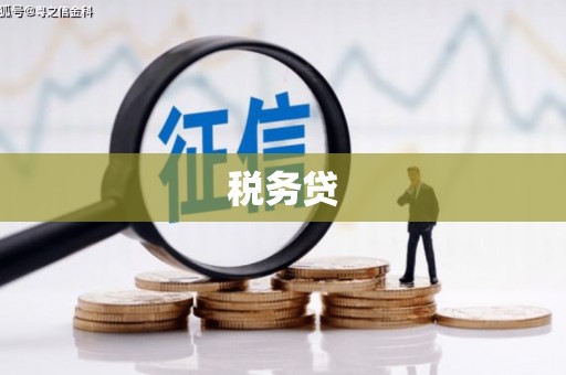 中西税务贷