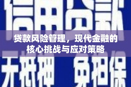 双溪贷款风险管理，现代金融的核心挑战与应对策略