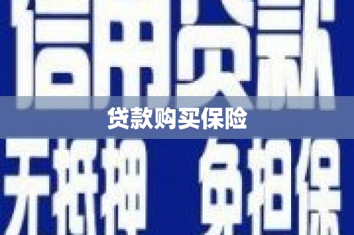 中宁贷款购买保险
