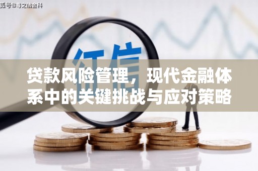钢城贷款风险管理，现代金融体系中的关键挑战与应对策略